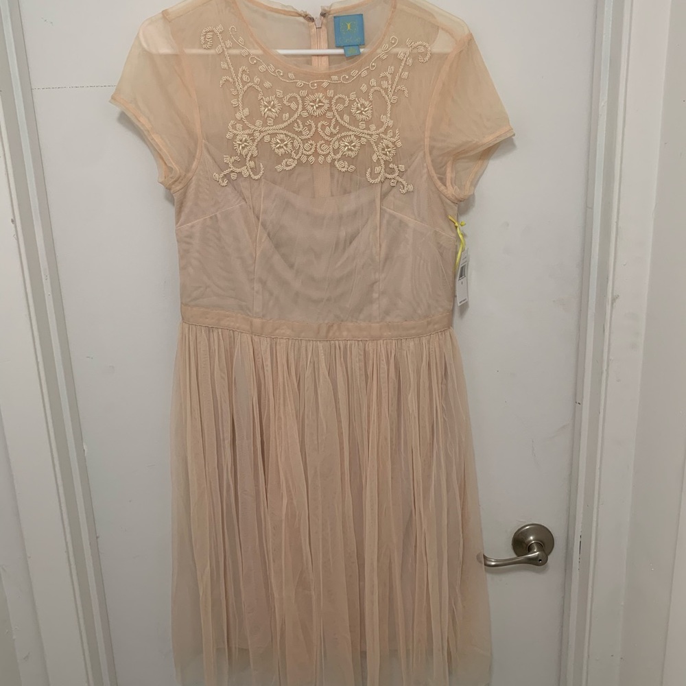NWT Blush Pink Tulle Mini Dress